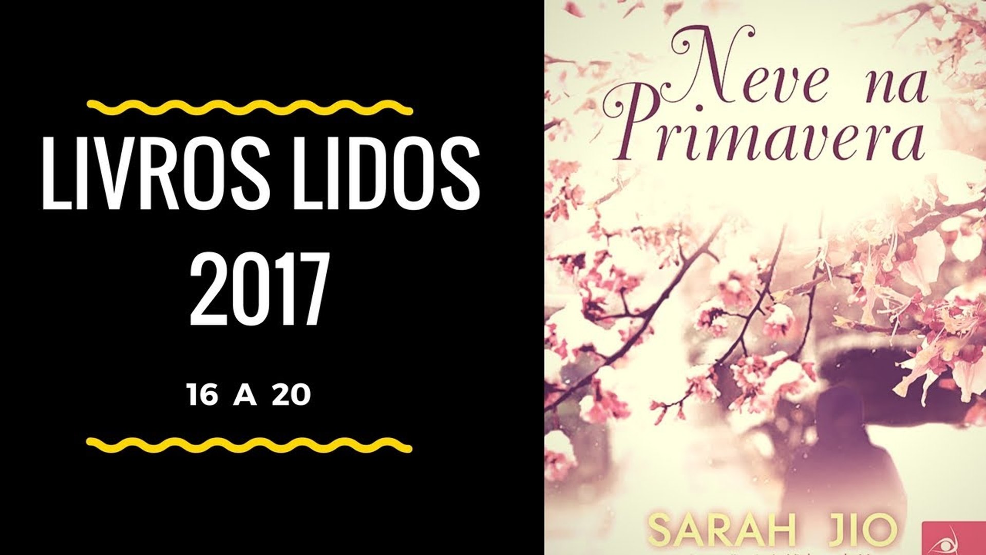 Livros Lidos 2017 - 16 a 20