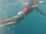 Diver Removes Fishing Line From Wounded Shark