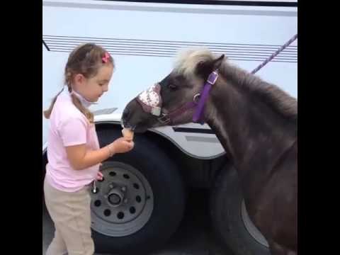 Young Girl Shares Her Ice Cream With Horse