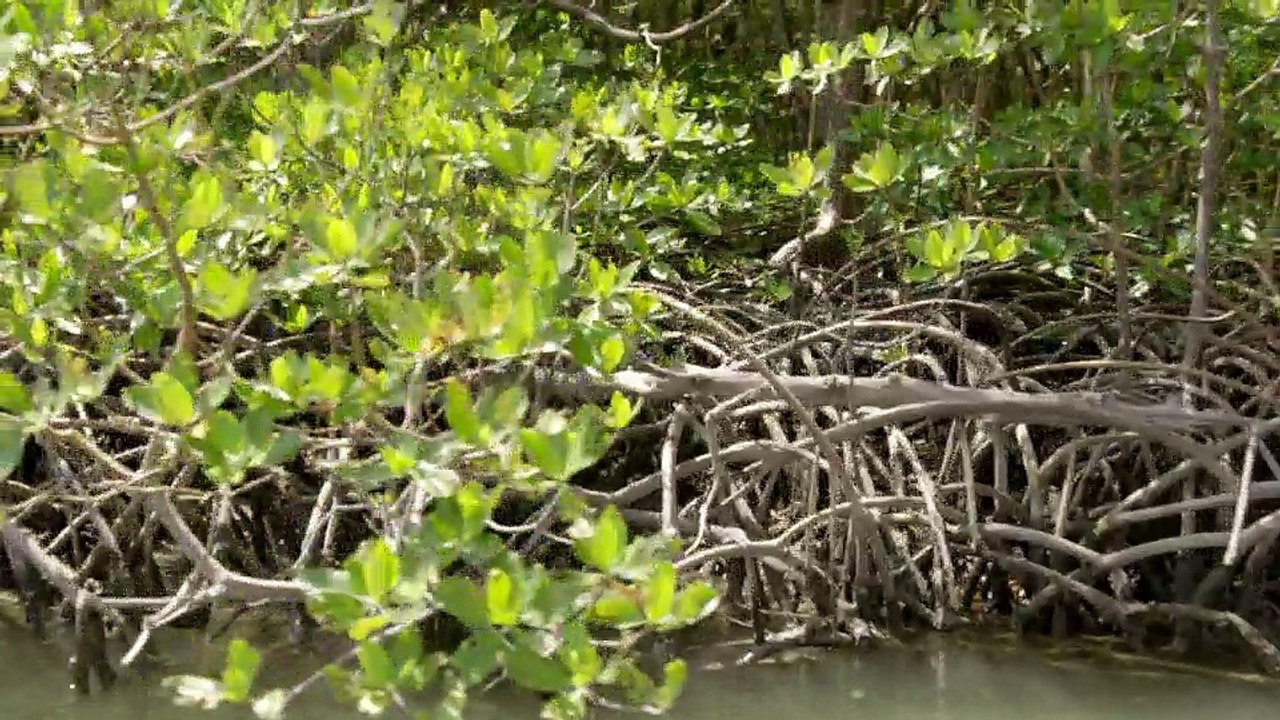 ✅ Desafios da Estrada  ☆ 1ª Temp.- Epis.7 ☆ Ilha Deserta.