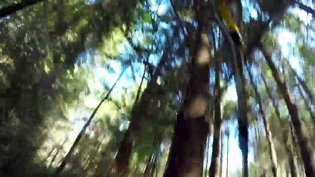 ✅ Desafios da Estrada  ☆ 1ª Temp.- Epis 10 ☆ Madeira!