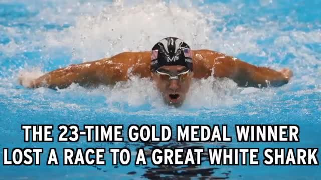 Michael Phelps Finally Meets His Match In A Great White Shark