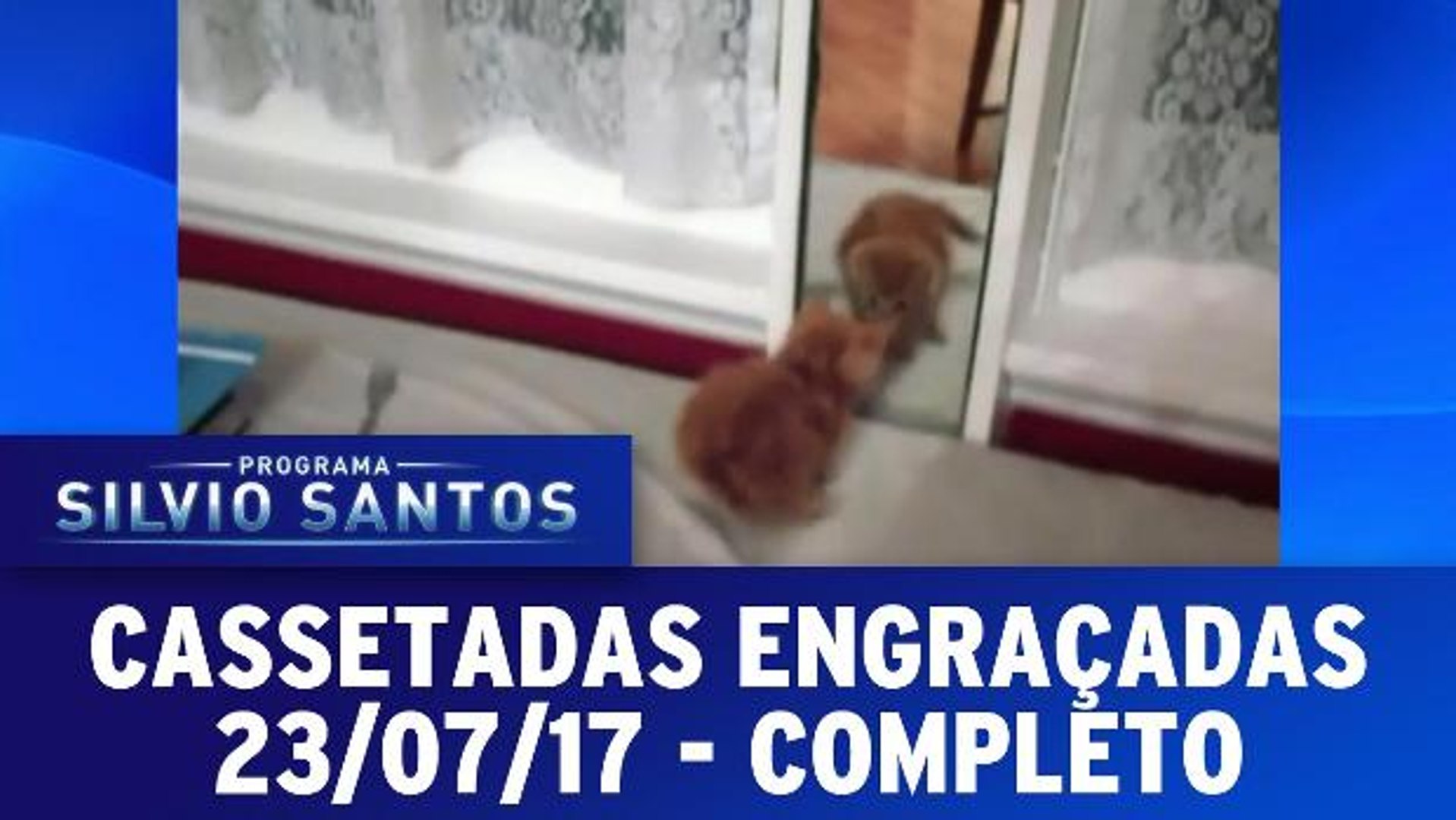 VIDEOS ENGRAÇADOS DE ANIMAIS - TENTE NÃO RIR (COMPLETO COMPILADO 2