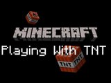 Minecraft - Playing With TNT