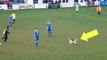 Adorable Beagle Interrupts A Soccer Game For More Than 7 Minutes And Become The Star