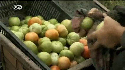 DONDE INVERTIR DINERO: COMPRANDO TIERRAS - DOCUMENTALES 2017