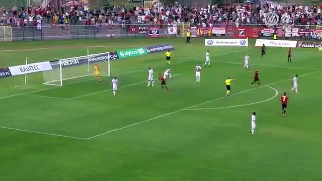 Diosgyori 1:1 Honved ( Hungarian NB I 22 July 2017)