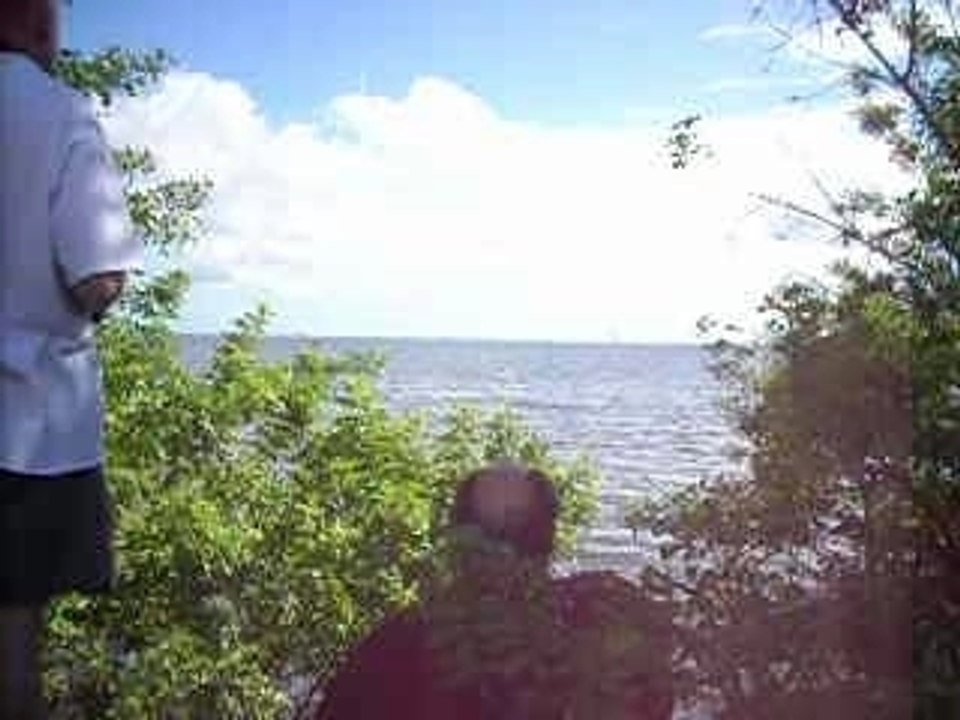 Discoverylaunch 004