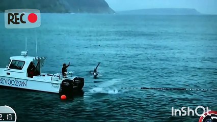 Michael Phelps perd un duel face à un... requin