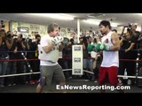 Manny Pacquiao A Beast on the Mitts With Freddie Roach
