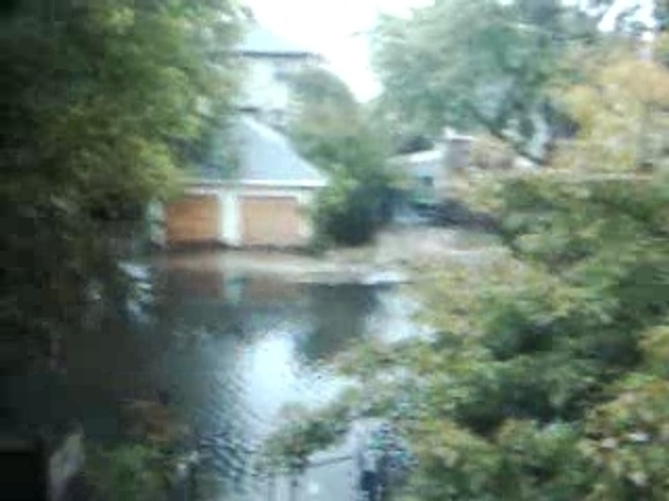 swimmin down the road
