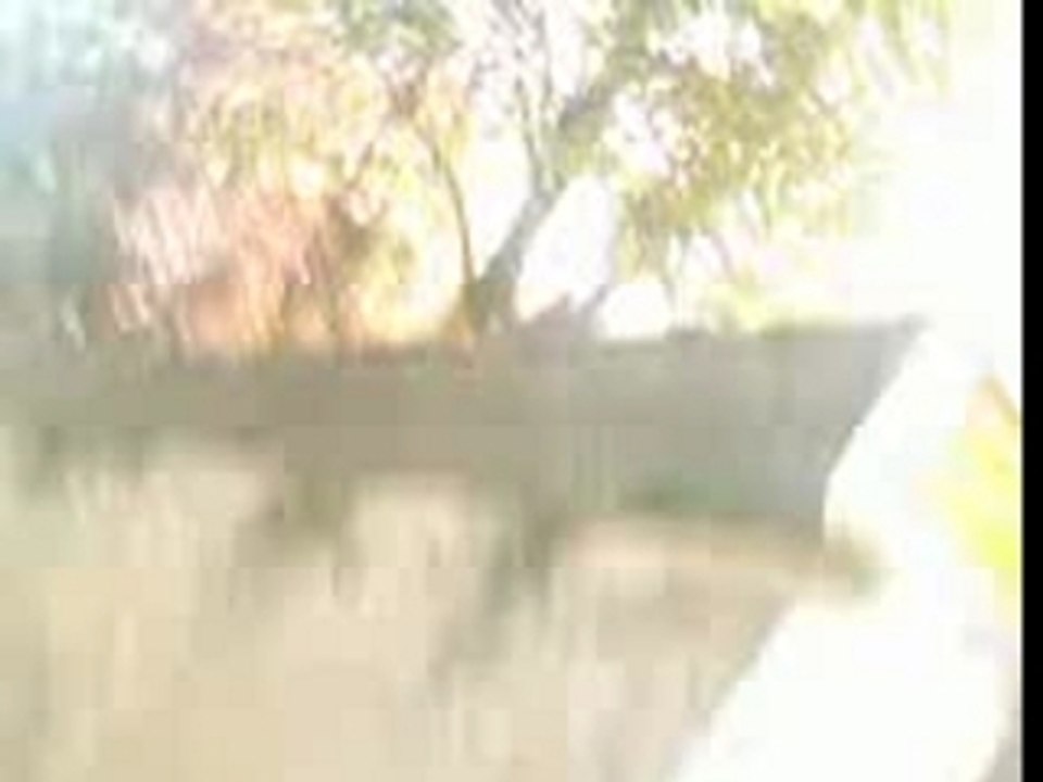 VID004