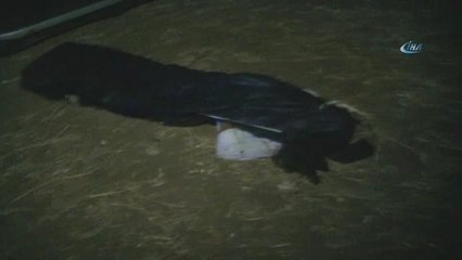 Hafif Ticari Araç Takla Attı: 1 Ölü, 2 Yaralı