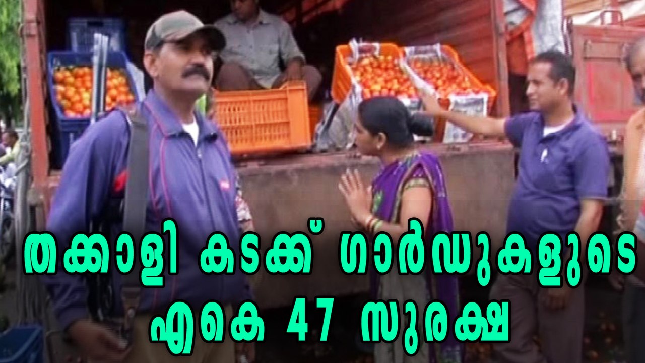 Security Guards In Indore protect Tomatoes | Oneindia Malayalam