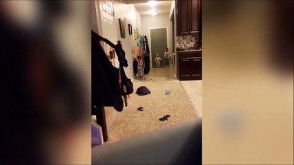Ce bébé n'est pas pret pour Ninja Warrior...