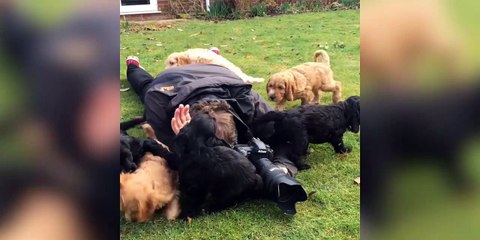 Ce photographe subit une attaque violente de chiots