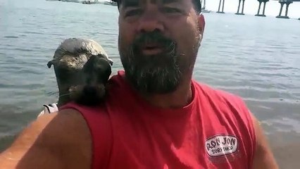 Voici le selfie le plus adorable du monde...