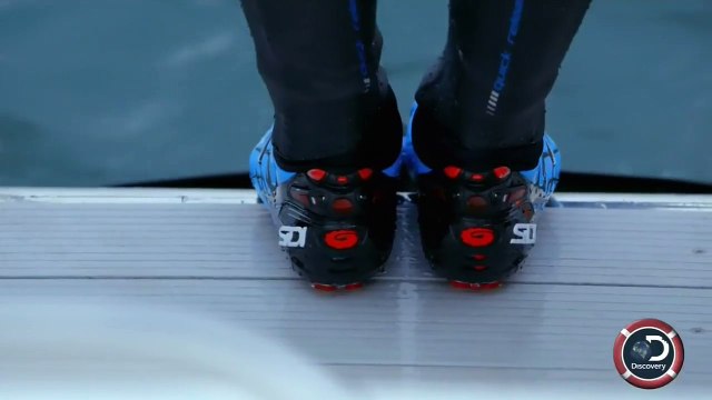 Le nageur le plus titré, Michael Phelps, a tenté un duel à la nage... avec un requin ! Qui a remporté la course ? VIDÉO