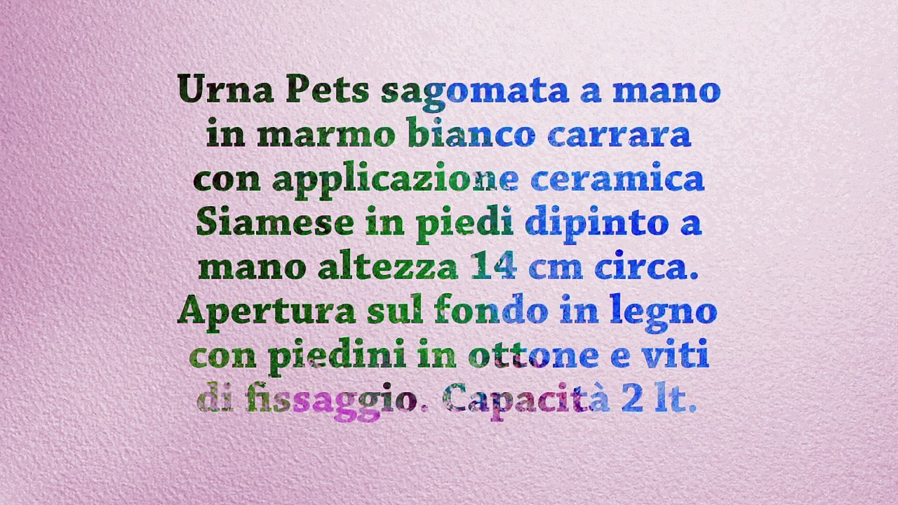 Urna per animali Siamese