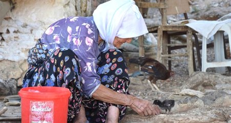 Depremde Yıkılan Evine Değil Ölen Civcivlerine Ağladı