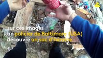 États-Unis : quand un policier cache lui-même la drogue qu'il fait mine de découvrir