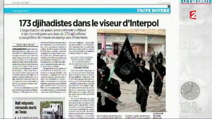 Lutte contre le terrorisme : 173 jihadistes identifiés par Interpol