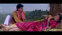 Chehra Kya Dekhte Ho Song - Salaami (1994) | Ayub Khan & Roshini Jaffery | Nadeem-Shravan | Kumar Sanu & Asha Bhosle