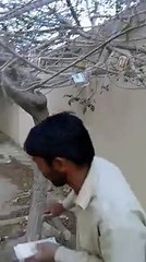 Funny Pakistani men talks about earn money in Perdasss,,,,
