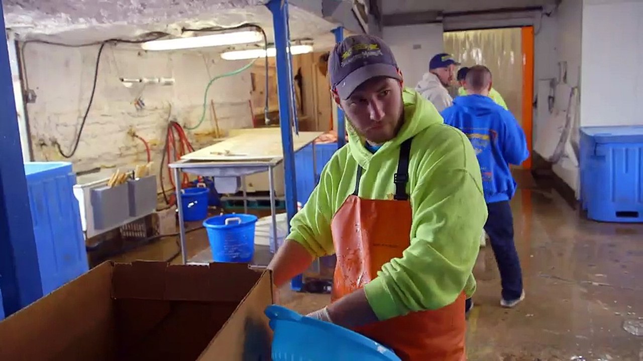 ✅ Família Busca Peixe ☆ 1ª Temp.- Epis.2 ☆ Pressão do Chefe.