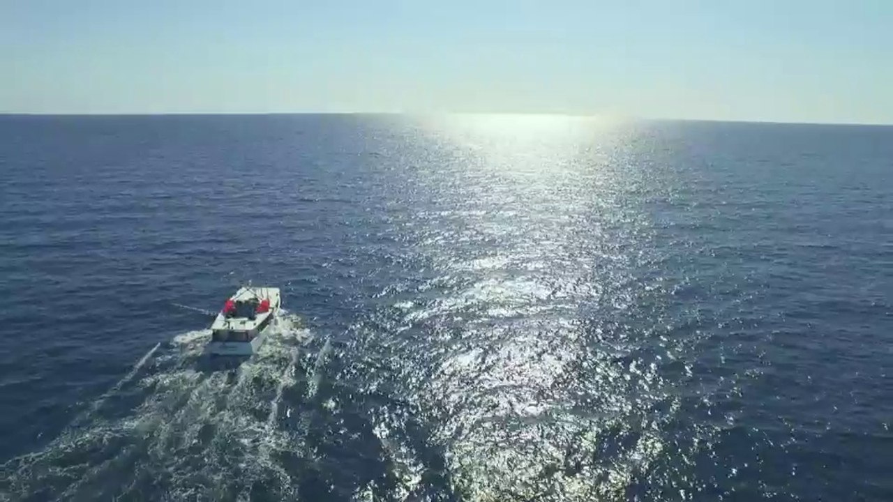 ✅ Família Busca Peixe ☆ 1ª Temp.- Epis.6 ☆ Sem Brincadeiras.