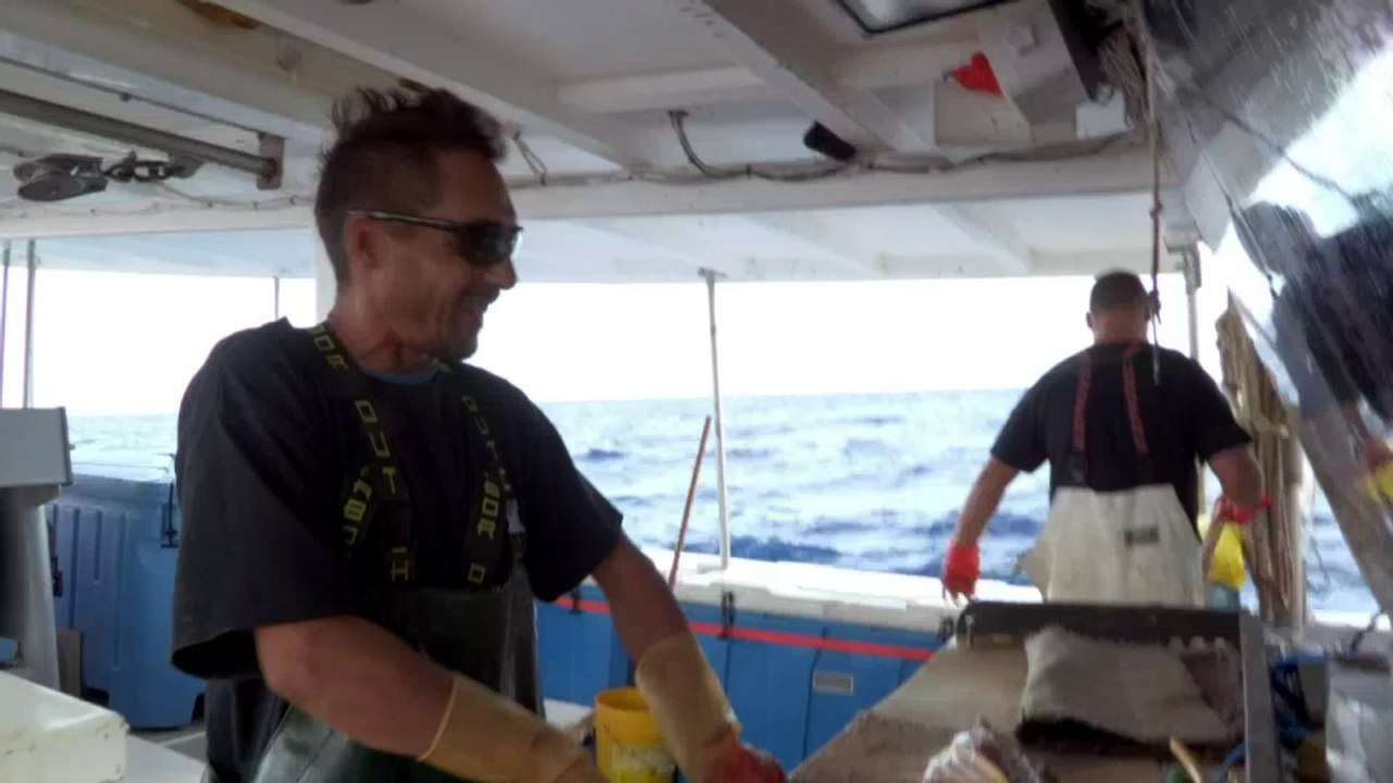 ✅ Família Busca Peixe ☆ 1ª Temp.- Epis.8 ☆ Marinheiro Doente.