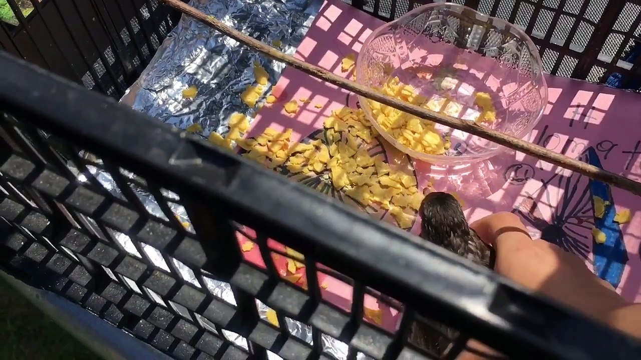 MY VERY FIRST(VLOG)