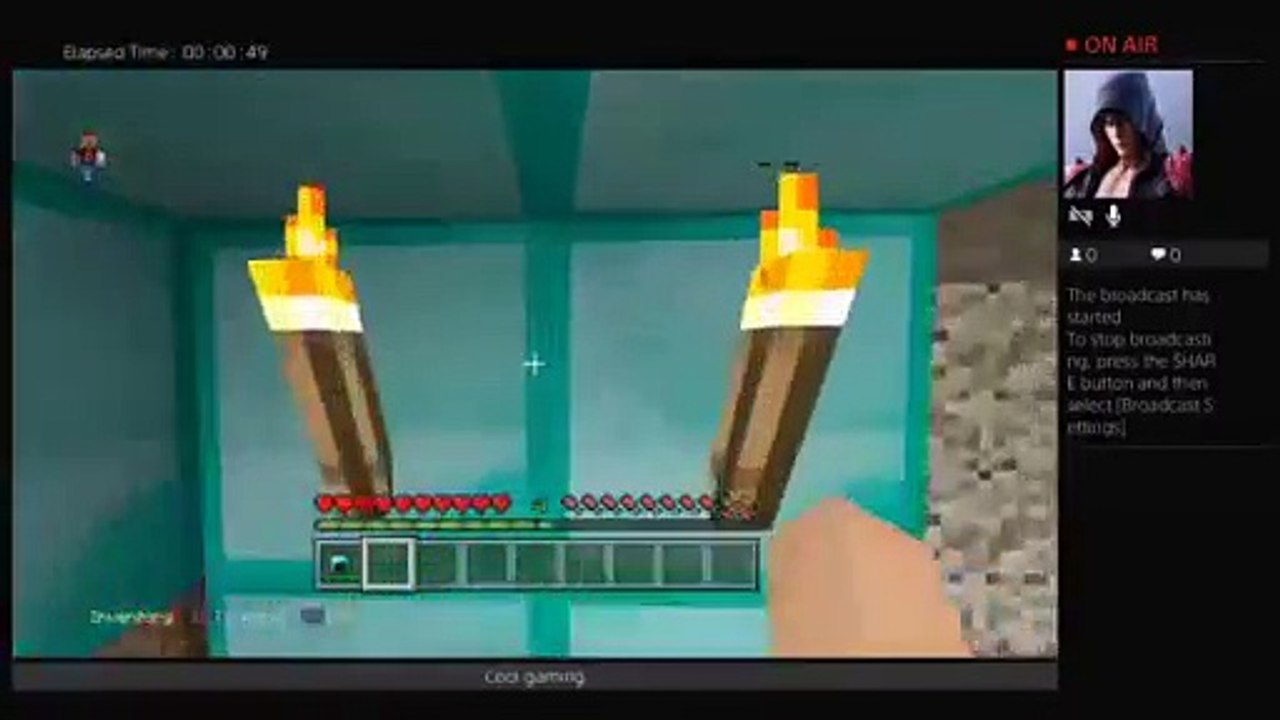 MINECRAFT (52)