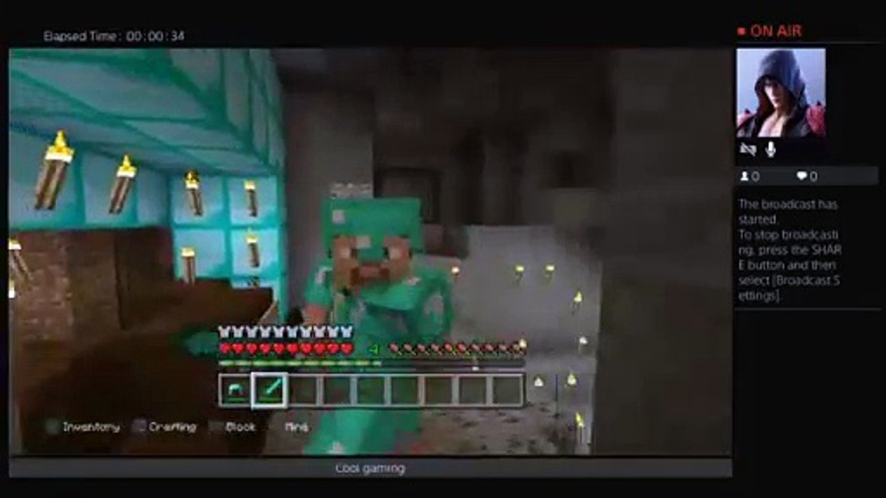 MINECRAFT (53)