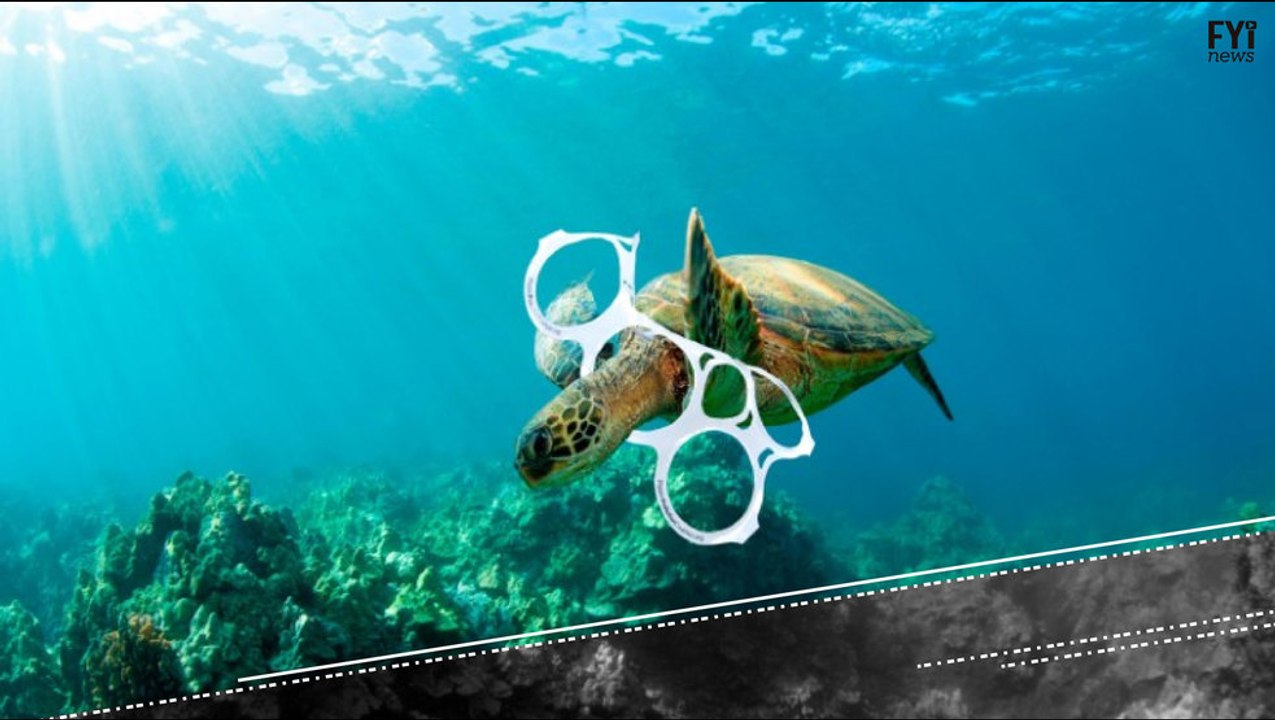 De quem é a culpa pela destruição dos oceanos?