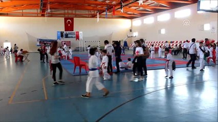 Hassa'da Minikler Karate Turnuvası