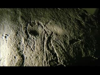 WIRED SCIENCE | Virtual Paleontology | PBS