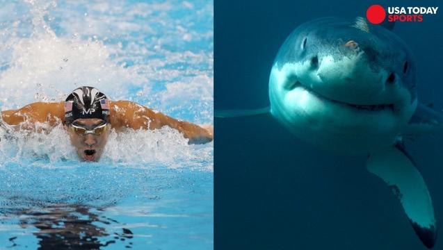 Michael Phelps races fake shark and Twitter wasn't having it