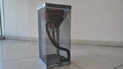 Araç Kullanırken Ayağına Yılan Dolandı! İmdadına İtfaiye Yetişti