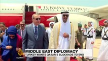 Erdogan visits Qatar to help resolve Gulf crisis