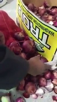 La police saoudienne a retrouvé des sachets de drogue cachés dans des oignons...