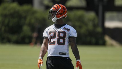 '4 Downs' Cincinnati Bengals: Offseason and 2017 draft review