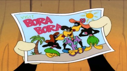 Pica Pau em Português | Acampamento de aves | Desenhos Animado