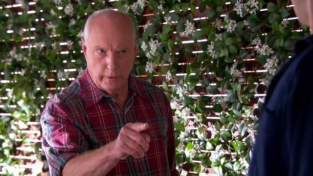 Home and Away 6700 24th July 2017 HD