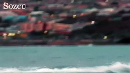 Phelps köpekbalığına yenildi!