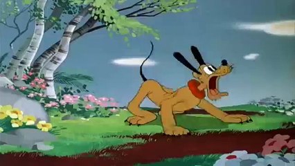 Pluto Cartoon Full Episodes - Springtime For Pluto