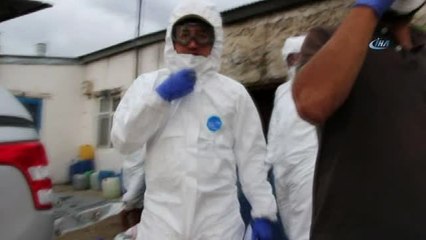 Kars'ta Kuş Gribi Şüphesi