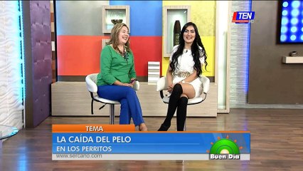 Causa y tratamiento de la caída de pelo en los perros