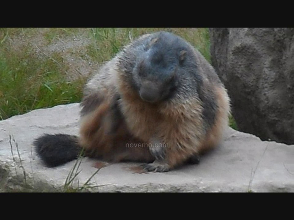Vacances à la montagne été  - Village Nature Sommet Ambiance – Préparez vos valises  voyage vlog