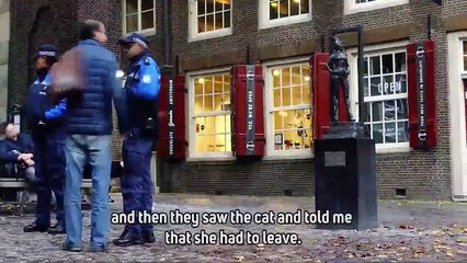 Cat fight anyone The Law vs. pub cats